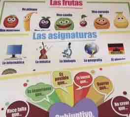 Spanish Wallcharts