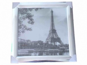 Eiffel tower picture black/white