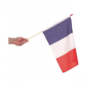 French flag on a pole