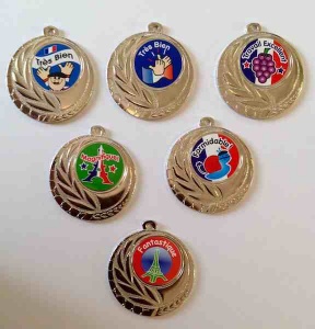 Silver Reward Learn Foreign Language Skills Silver reward medal