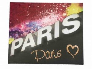 Paris canvas