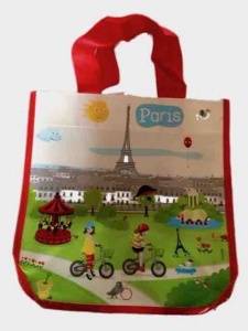 Paris shopping bag