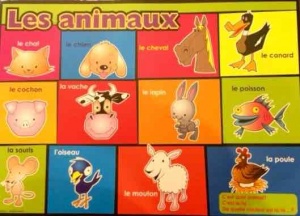 Les Animaux